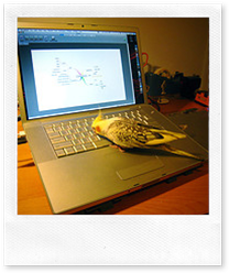 twitter resources