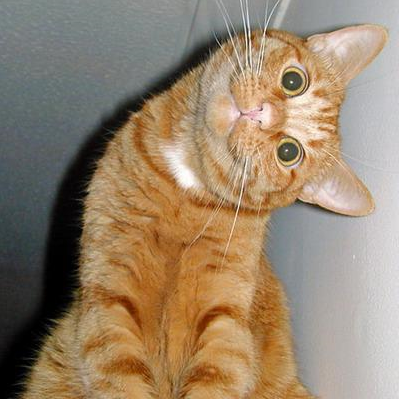 Forum Image: http://www.searchenginepeople.com/wp-content/uploads/2011/04/Lets-get-visual-11.png