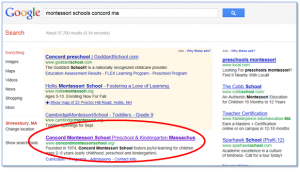 Title Tag Organic Search Results
