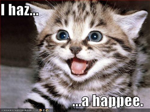 happy-lol-cat.jpg