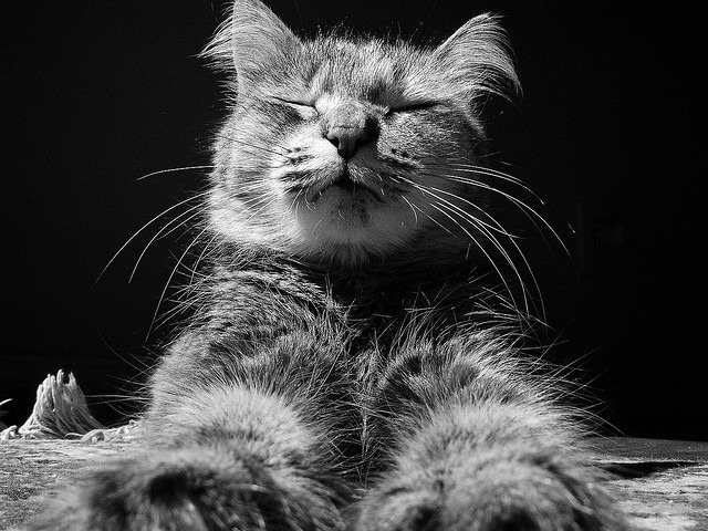 lazy-loading