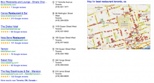 Google Local Search Results