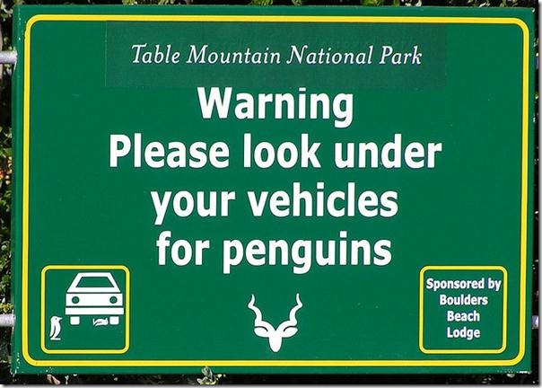 penguin-warning