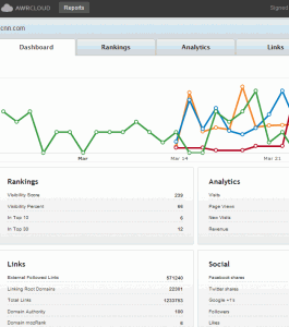 SEO Report