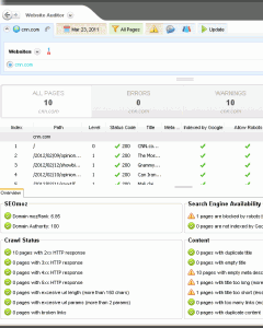 Website Auditor