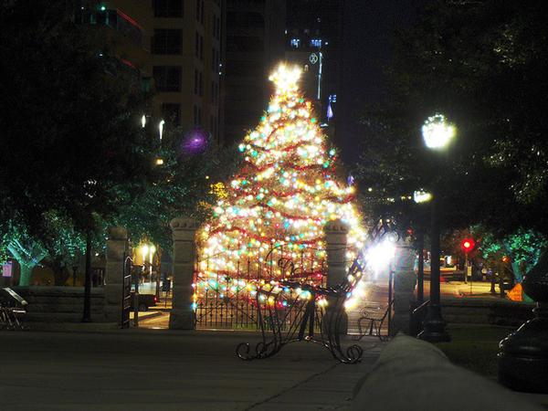 Lit, decorated Christmas tree