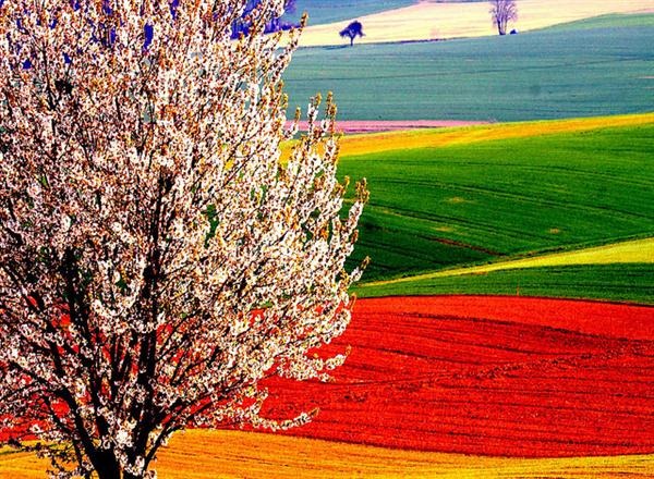 seasonal