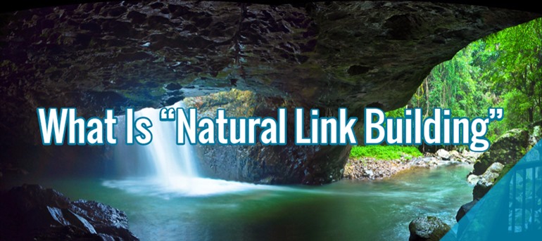 natural-link-building