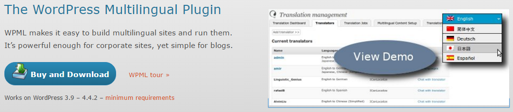 Wordpress Multilingual Plugin