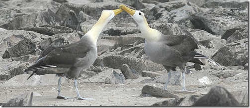 pick marketing partner pick marketing partner