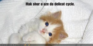 LOLcat Speak