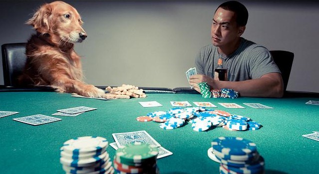 hold-all-cards hold-all-cards