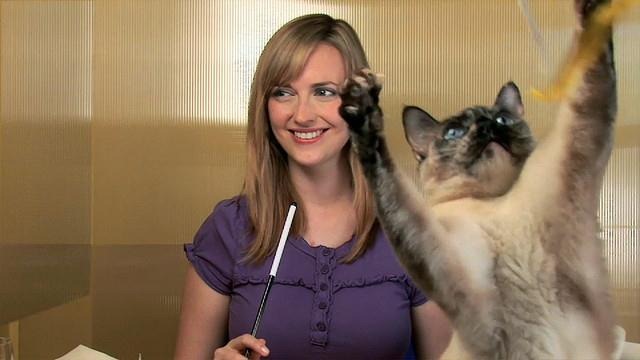 twitter-netiquette twitter-netiquette