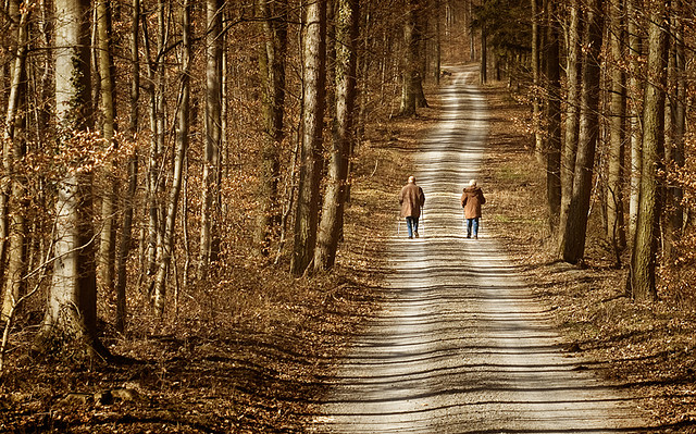 Senior couple walking in the woods