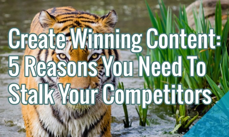 stalk-competitor-content