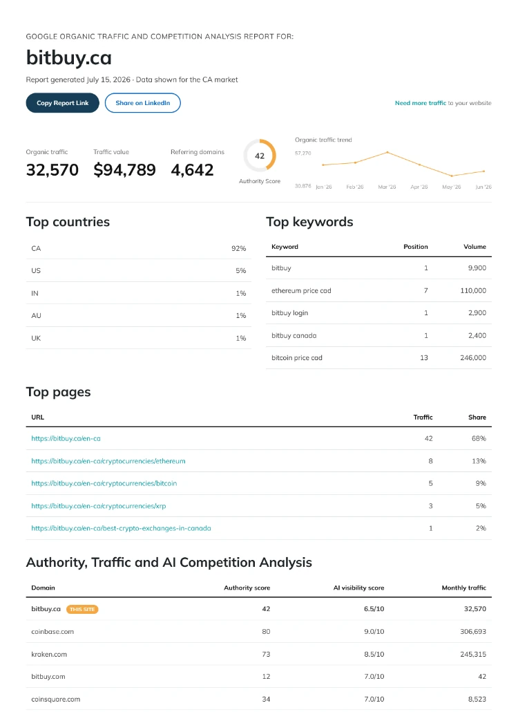 Example website traffic, authority and competitor analysis report